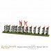 Napoleonic Spanish Infantry (2nd & 3rd Battalions)
